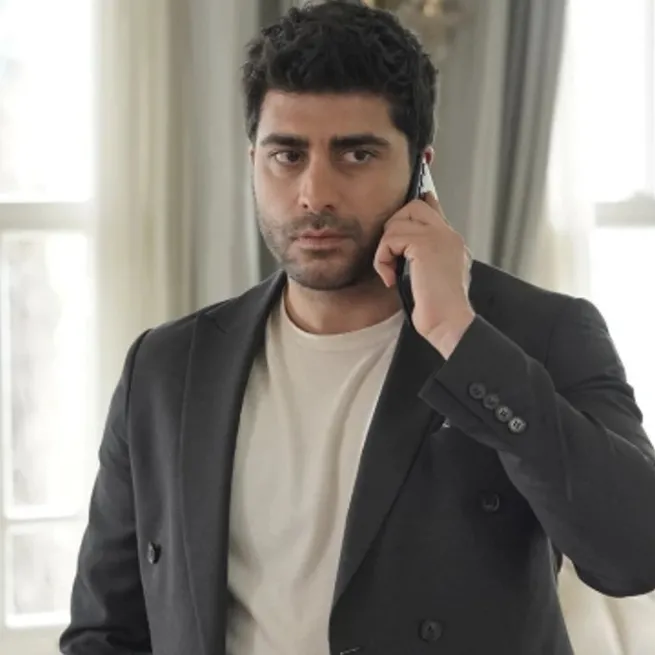 Bir dizi operasyon