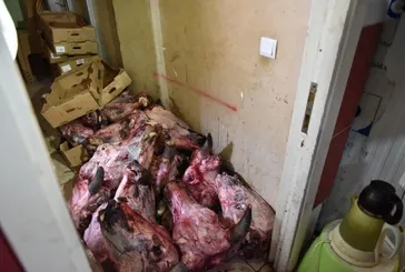 Hamam böcekli yumurta, tarihi geçmiş tavuk...