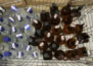 Sahte içkide dezenfektan detayı! Bilim Kurulu üyesi açıkladı! İşte zehirlenme belirtileri