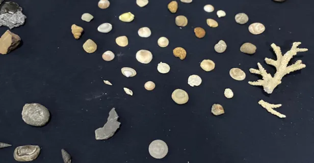 Ümraniye'de Osmanlı dönemine ait sikke ele geçirildi