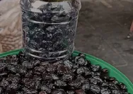 Acı zeytin yemeye son! Kahvaltının vazgeçilmezi olacak! Siyah zeytini en güzel tatlandırma formülü