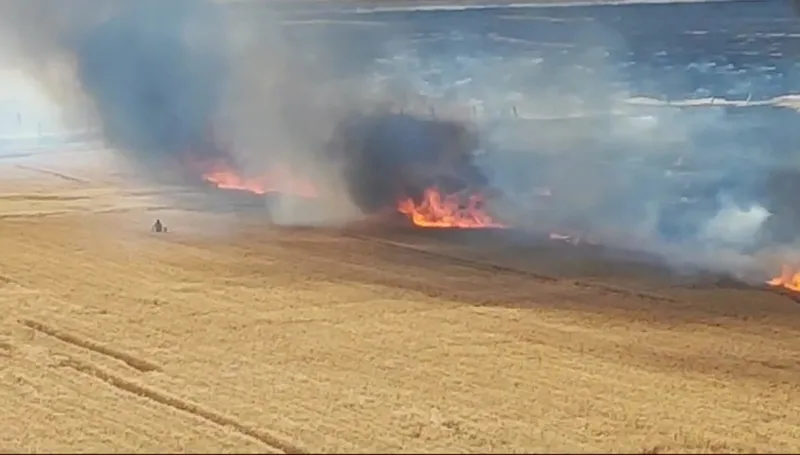 mardin-suriye-sinirinda-hareketli-dakikalar-yasandi-mayinli-bolgede-cikan-yangin-30-donum-bugday-ekili-alani-y-1715893825693.jpg Mardin Suriye sınırında hareketli dakikalar yaşandı! Mayınlı bölgede çıkan yangın 30 dönüm buğday ekili alanı yaktı-2