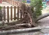 Antalya'da hortum felaketi! Çatılar uçtu ağaçlar söküldü