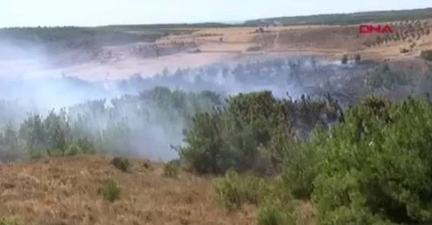 Çanakkale Bozcaada’da tarım arazisinde başlayan yangın ormana sıçradı