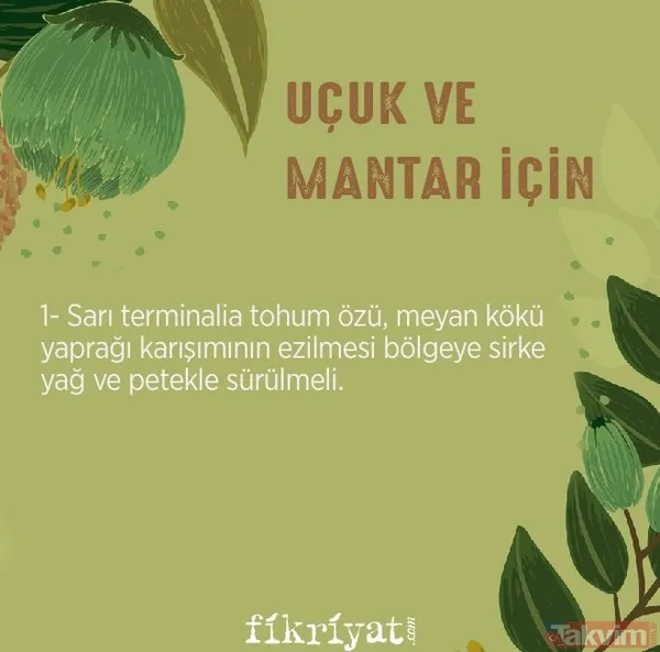 İktidarsızlık bu karışımla tarihe karışıyor cinsel güce güç katıyor! Mucize elinizin altında sadece yapmanız gereken... - 25