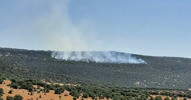 Son dakika: Kilis’te orman yangını! Havadan ve karadan müdahale edildi
