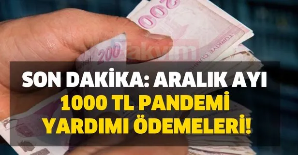 son dakika aralik ayi 1000 tl pandemi yardimi odemeleri takvim