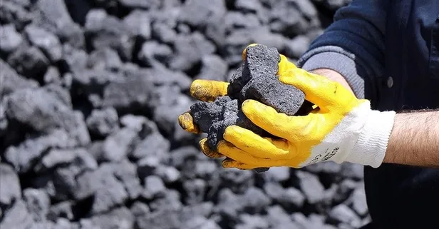 Rusya ve Ukrayna savaşı Avrupa'da kömür fiyatlarını yüzde 18 artırdı