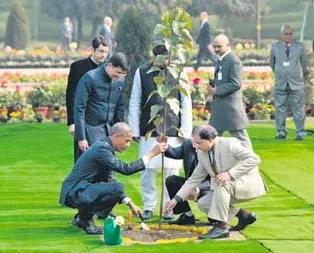 Obama’nın ağacı ölmedi