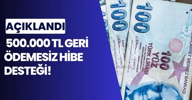 300.000 TL ve 500.000 TL GERİ ÖDEMESİZ hibe kredi desteği müjdesi! Kendi işini kurmak isteyenlere fırsat!