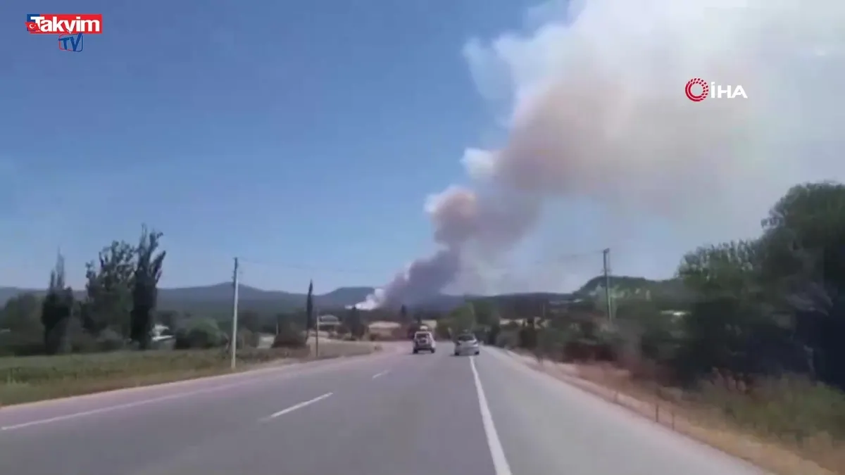 Bolu Mudurnu’da orman yangını başladı