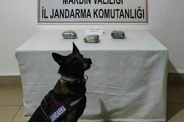 Mardin'de uyuşturucu operasyonu!