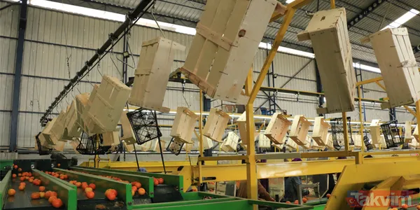 İŞKUR’dan 2.005 kişilik dev paketleme personeli alımı! Tecrübesiz, en az ilkokul mezunu olmak yeter - 4