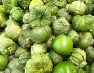 Yeşil domates tomatillonun faydaları