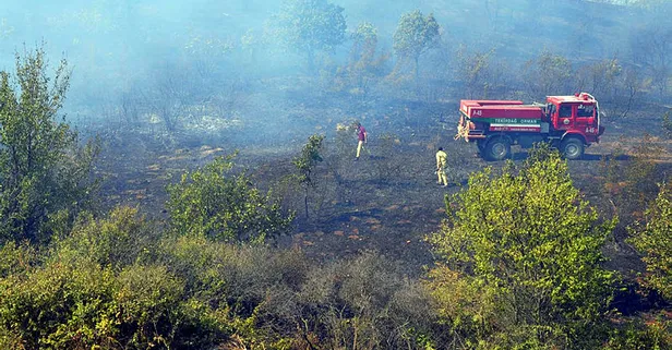 Tekirdağ'da 200 dönümlük orman kül oldu