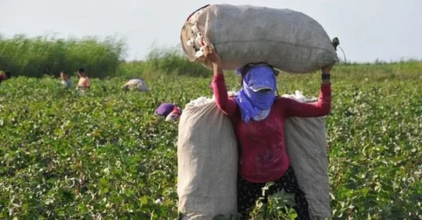 Mevsimlik işçiye emeklilik zaferi