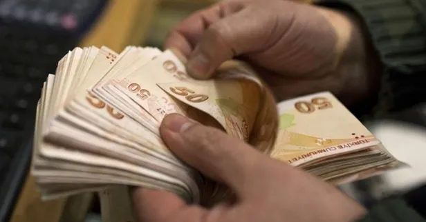 Türkiye İş Kurumu tarafından annelere günlük 80 TL harçlık ödemesi veriliyor-2