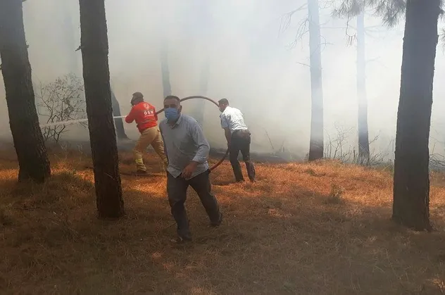 Son dakika: Kartal Aydos'ta ormanlık alanda yangın
