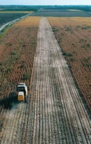 Son dakika: Tarım ÜFE temmuzda arttı