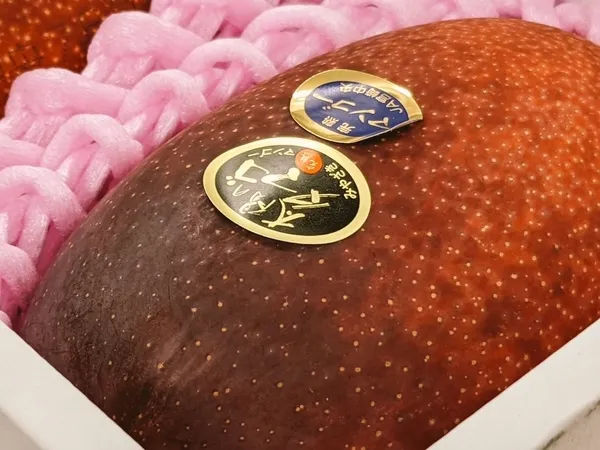 japonyada-iki-mango-58-bin-300-liraya-satildi-1649934361355.jpg Japonya’da iki mango 58 bin 300 liraya satıldı-2