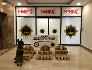 Terör örgütüne operasyon: Yüzlerce kilo eroin...