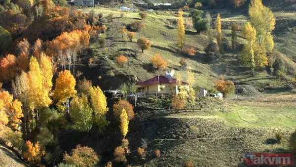 Muş'ta sonbaharın getirdiği renk cümbüşü harika görüntülere neden oldu - 7