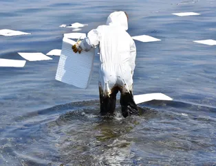 Son dakika...Aliağa ve Foça sahillerinde petrol kirliliği