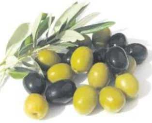 Kansersavar zeytin