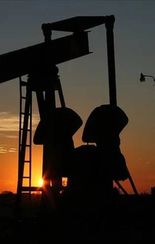 Petrol devlerine büyük şok! Hisseleri yere çakıldı!