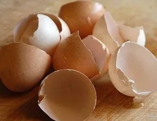 Çöp deyip attıklarınız bakın ne işe yarıyor