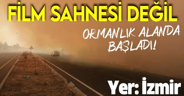 Son Dakika Izmir Aliaga Da Orman Yangini Takvim