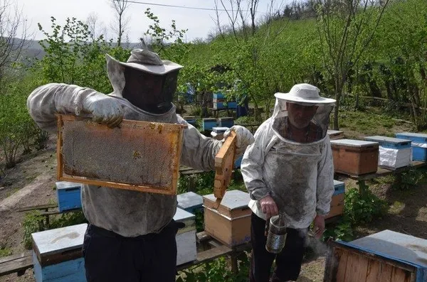 Cumhurbaşkanı Erdoğan'ın sözünü dinledi, bal kralı oldu-2