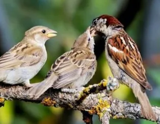 Birbirinden ilginç fotoğraflar