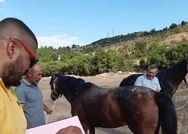 CHPli İBB’nin emekliye ayırmak üzere aldığı atları köy işlerine verdiği ortaya çıktı