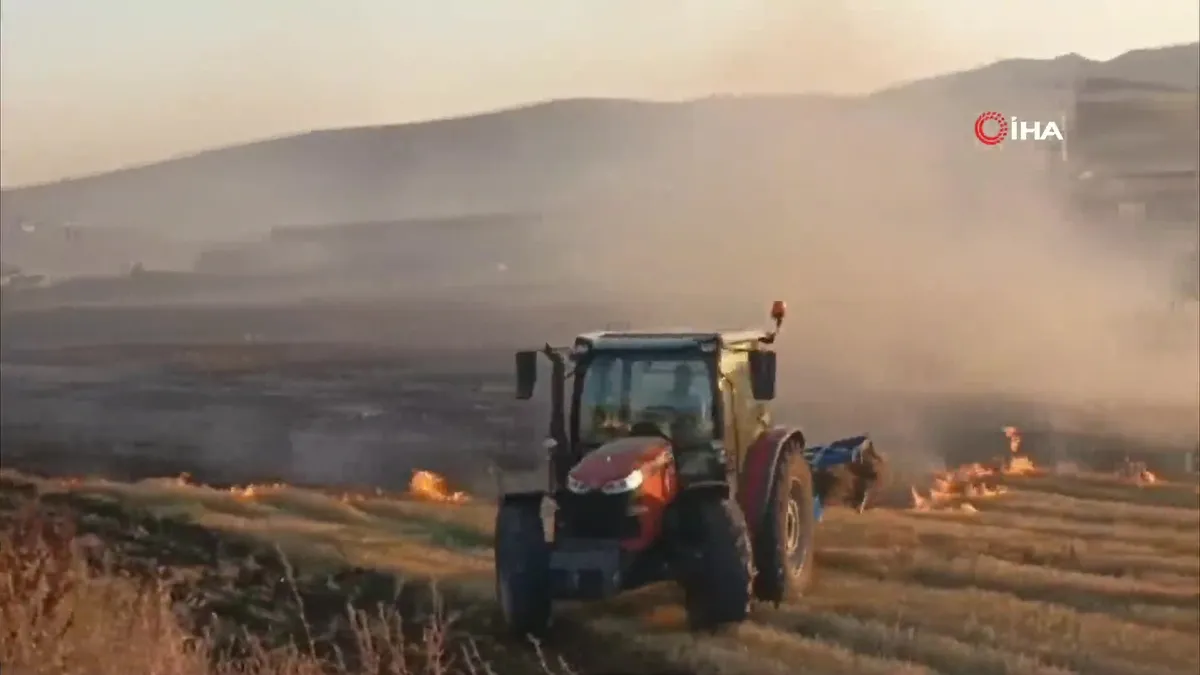 Ağrı’da 5 dönümlük tarla küle döndü