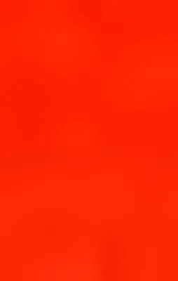 CNN'e ülkeyi terk edin uyarısı