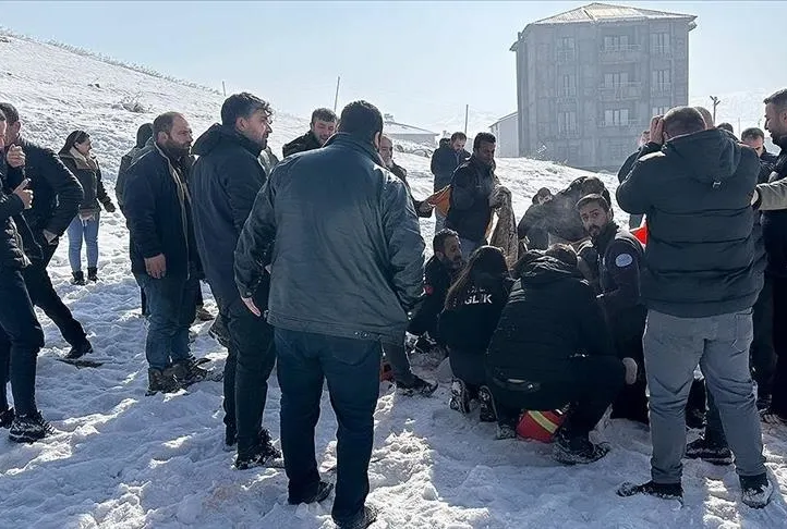 Belediyeye başıboş köpek soruşturması!