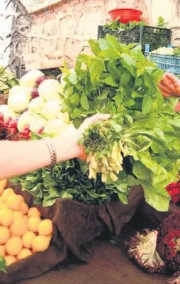 Ramazanda şampiyon salatalık