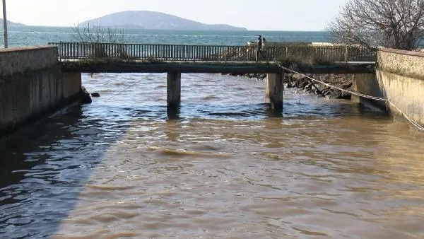 Maltepe'de denizin rengi kahverengine döndü! Vatandaş pis kokulardan şikayetçi-5