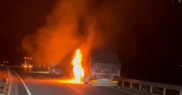 Erzincan’ın Üzümlü ilçesinde seyir halindeki TIR’da çıkan yangın paniğe neden oldu.
