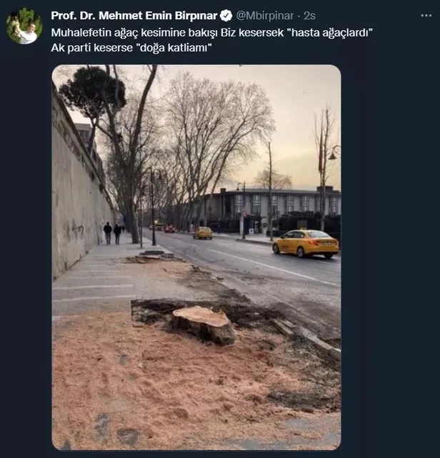 CHP'li İBB İstanbul'un bir güzelliğini daha yok etti: Çırağan Caddesi'nde ağaç katliamı: 112 tanesi kesildi! Tepkiler çığ gibi-5