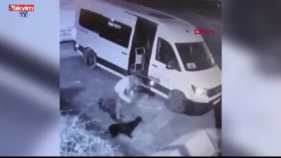 Avcılar’da mahallenin maskotu ‘Garip’ kaçırıldı: O anlar kamerada