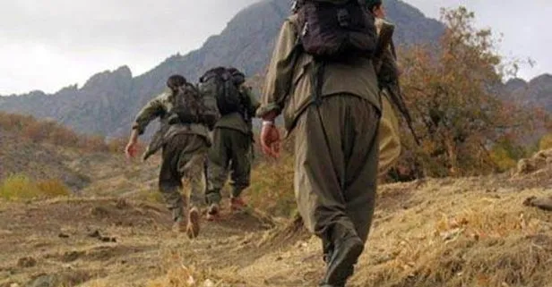 HDP il binasından PKK'ya transit geçiş!