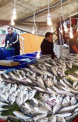 Balıkta ucuzluk başladı