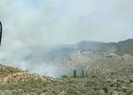 Son dakika: Muğla Milasda zeytinlik alanda yangın