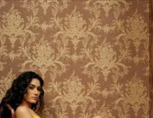 Hande Subaşı