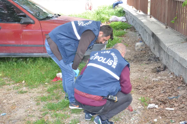 Kahramanmaraş'ta düşük yapan bir kadının beze sardıktan sonra toprağa gömdüğü cenini köpekler buldu-1
