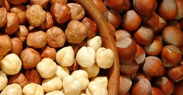 Fındık fiyatları Fiskobirlik, 24 Mart Çarşamba, Ordu, Giresun, Ünye fındık borsalarında fındık kaç lira?-4