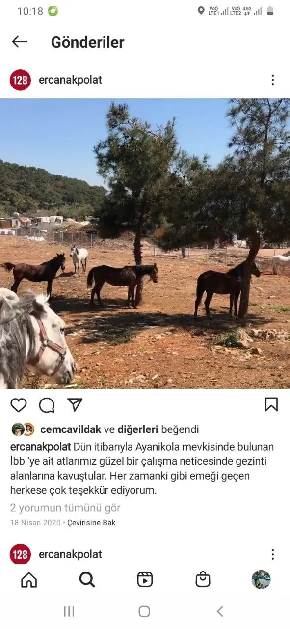 ibbnin-satin-aldigi-978-atin-kayip-oldugu-bu-atlardan-224unun-oldugu-aciklandi-cipler-her-seyi-ortaya-cikaracak-1620073323636.jpg