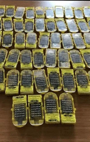 Sabiha Gökçen Havalimanı'nda bal arısı operasyonu